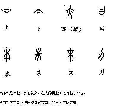 八 指事|八、什么是指事字？指事字与象形字有什么区别？